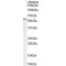TNF Receptor-Associated Factor 1 (TRAF1) Antibody
