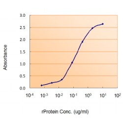 Von Hippel-Lindau Disease Tumor Suppressor (VHL) Antibody