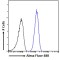 TIP41-Like Protein (TIPRL) Antibody
