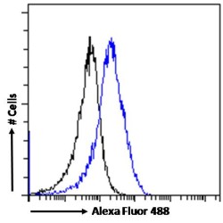 Chromodomain Helicase DNA Binding Protein 5 (CHD5) Antibody
