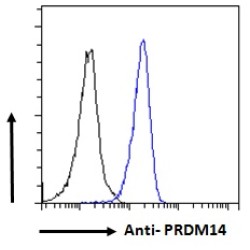 PR/SET Domain 14 (PRDM14) Antibody