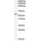 Vang-Like Protein 2 (VANGL2) Antibody