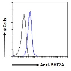 5HT2A Receptor Antibody