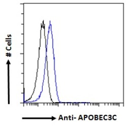 Apolipoprotein B mRNA Editing Enzyme Catalytic Subunit 3C (APOBEC3C) Antibody