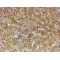 Cysteine Protease ATG4A (ATG4A) Antibody