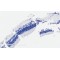 Cyclic Nucleotide-Gated Cation Channel Beta-3 (CNGB3) Antibody