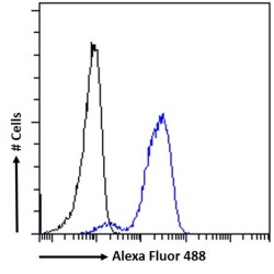 Tyrosine-Protein Kinase ITK/TSK (ITK) Antibody