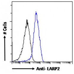 La Ribonucleoprotein Domain Family Member 2 (LARP2) Antibody