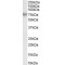 Metastasis Associated Protein 1 (MTA1) Antibody