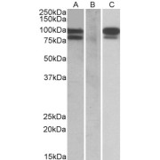 abx433103