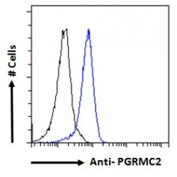 Progesterone Receptor Membrane Component 2 (PGRMC2) Antibody