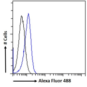 Flow cytometry analysis of HeLa cells (blue line),using Phospholipase A2 Receptor 1 (PLA2R1) Antibody (10 ug/ml) followed by secondary antibody conjugated to Alexa Fluor 488 (1ug/ml). Non-specific Goat IgG (black line) was used as a negative control.