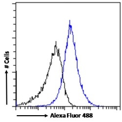 Sperm Associated Antigen 16 (SPAG16) Antibody