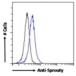 Sprouty Antibody
