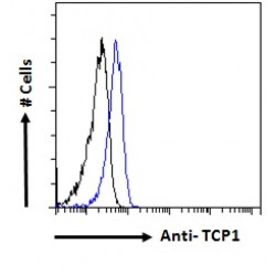 T-Complex 1 (TCP1) Antibody