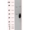 Tissue Factor Pathway Inhibitor (TFPI) Antibody