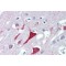 Ubiquitin Carboxyl-Terminal Hydrolase 9X (USP9X) Antibody