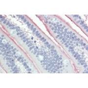 abx433652