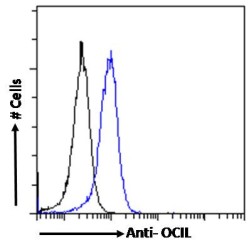C-Type Lectin Domain Family 2 Member D5 (CLEC2D) Antibody