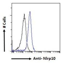 NACHT, LRR And PYD Domains-Containing Protein 10 (Nlrp10) Antibody