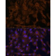 abx000598