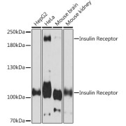 abx000670