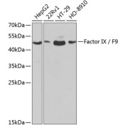 abx001329
