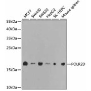 abx001535