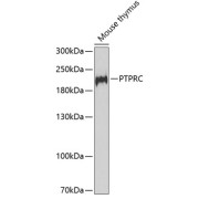abx001727
