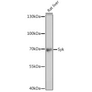 abx001735