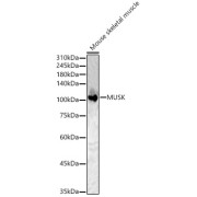 abx002025