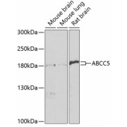 abx002191