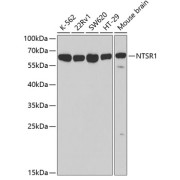 abx002203