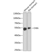 abx002450