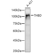 abx003069