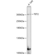 abx004345
