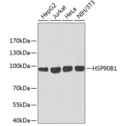 abx004792