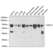 abx004915