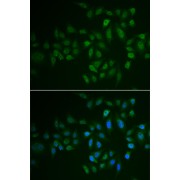 abx005109