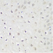 abx005802