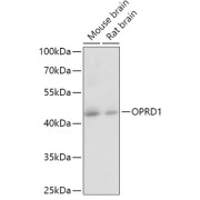 abx006236