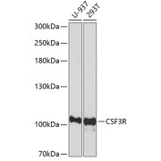 abx006501