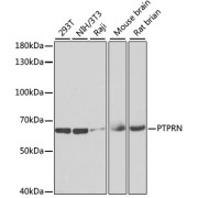 abx006819