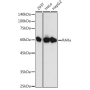abx007192