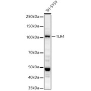 abx007226