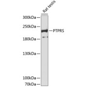 abx124389