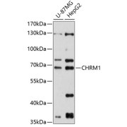 abx125674