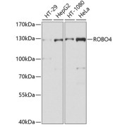 abx135820