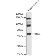 abx135866