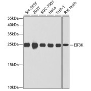 abx135889